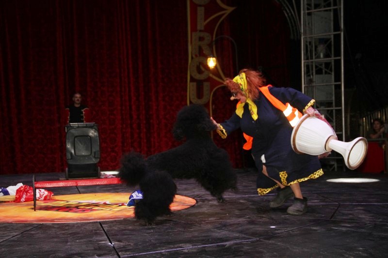 Opening of Dragon Circus